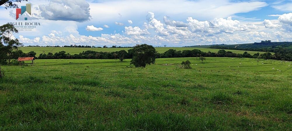 Fazenda à venda com 7 quartos, 1621400m² - Foto 2