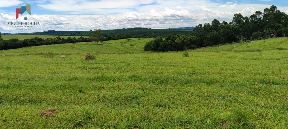 Fazenda, 162 hectares - Foto 11