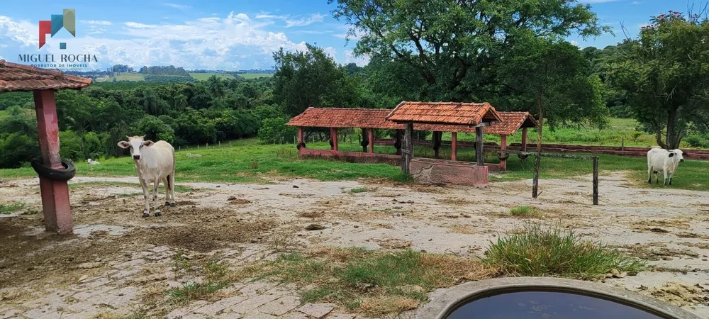 Fazenda, 162 hectares - Foto 6