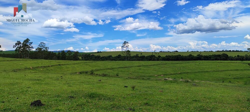 Fazenda à venda com 7 quartos, 1621400m² - Foto 3