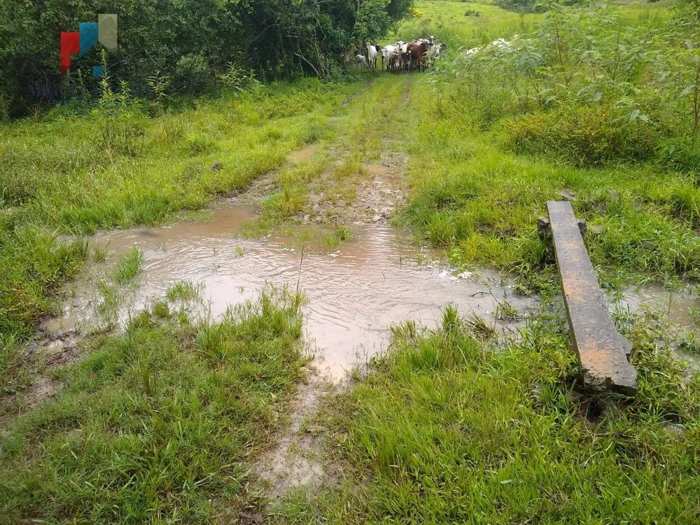 Sítio, 21 hectares - Foto 2