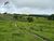 Sítio, 21 hectares - Foto 3