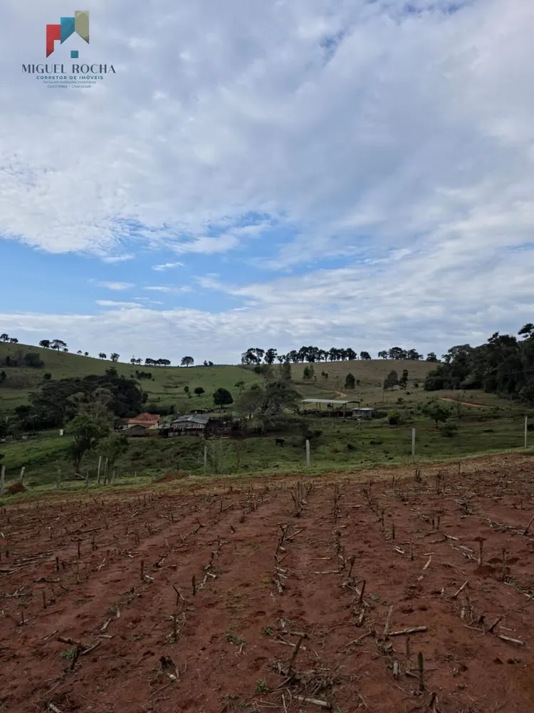 Sítio, 2 quartos, 87 hectares - Foto 2