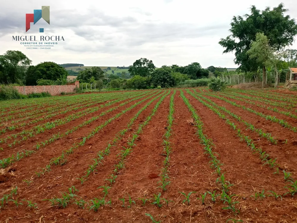 Terreno, 2100 m² - Foto 4