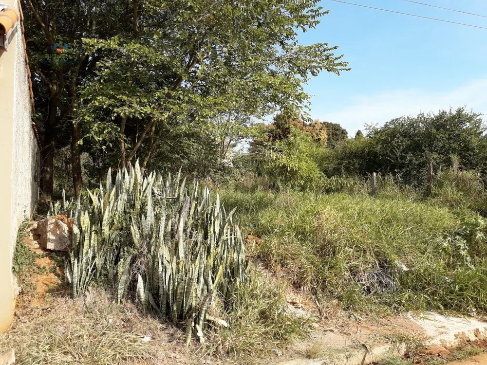 Terreno, 310 m² - Foto 3