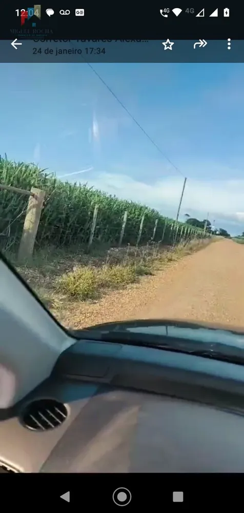 Sítio, 4 hectares - Foto 4