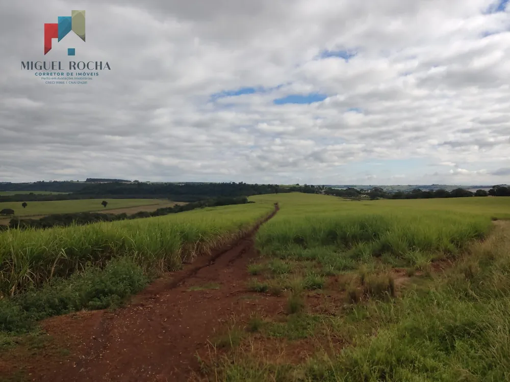Fazenda, 293 hectares - Foto 1
