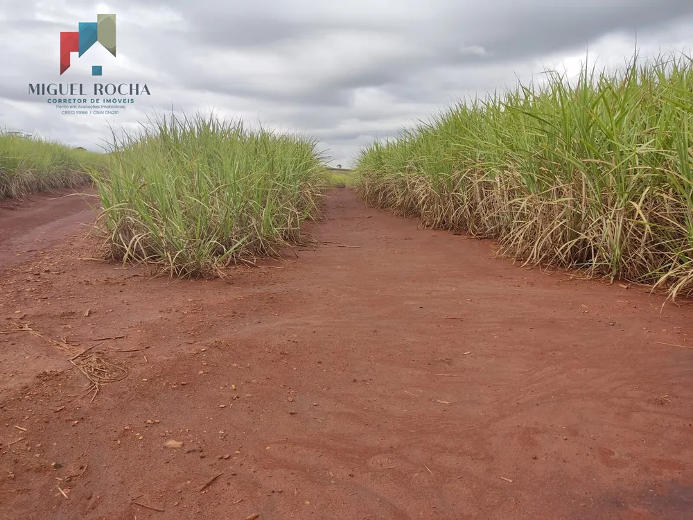 Fazenda, 293 hectares - Foto 4