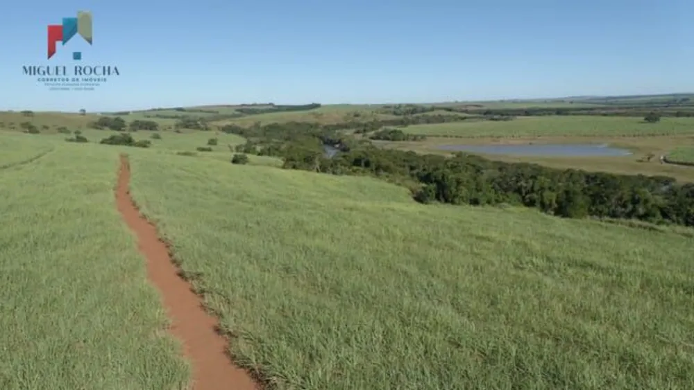 Fazenda, 293 hectares - Foto 6