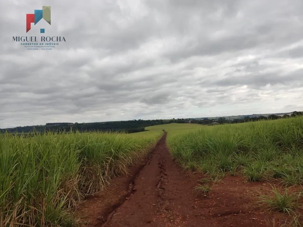 Fazenda, 293 hectares - Foto 2