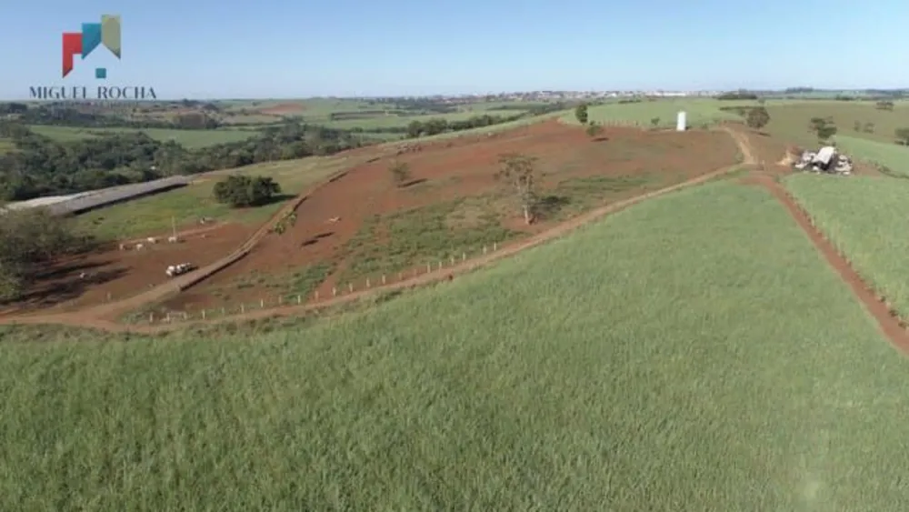 Fazenda, 293 hectares - Foto 8