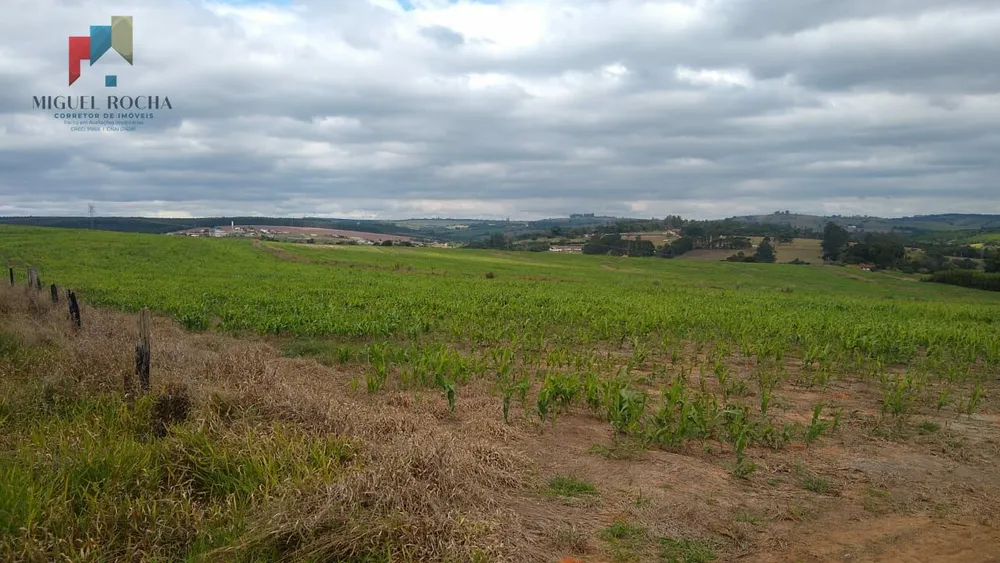 Sítio, 1 quarto, 97 hectares - Foto 3