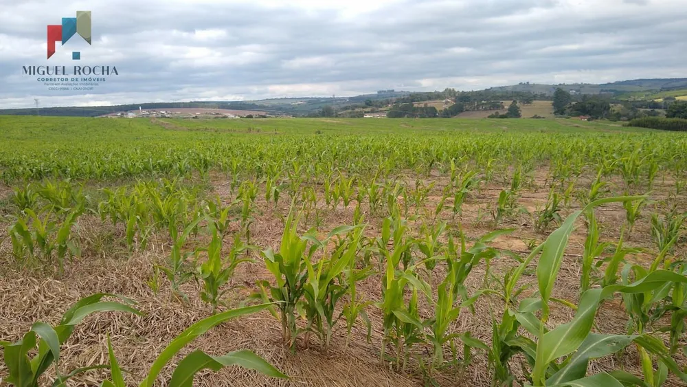 Sítio, 1 quarto, 97 hectares - Foto 1