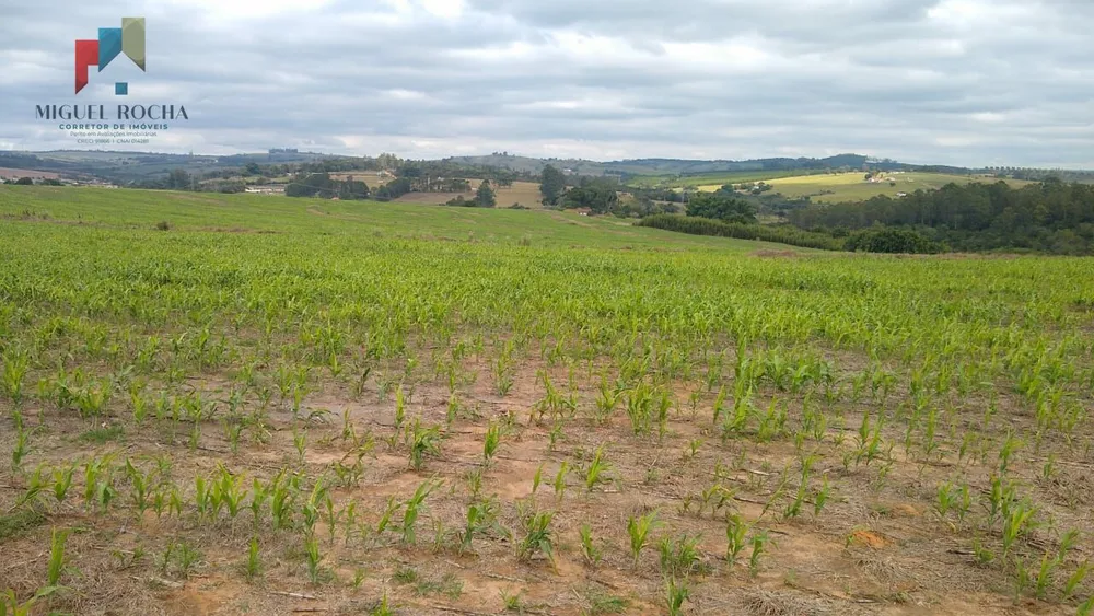 Sítio, 1 quarto, 97 hectares - Foto 2