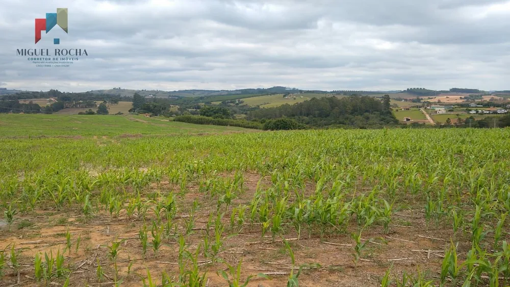 Sítio, 1 quarto, 97 hectares - Foto 6