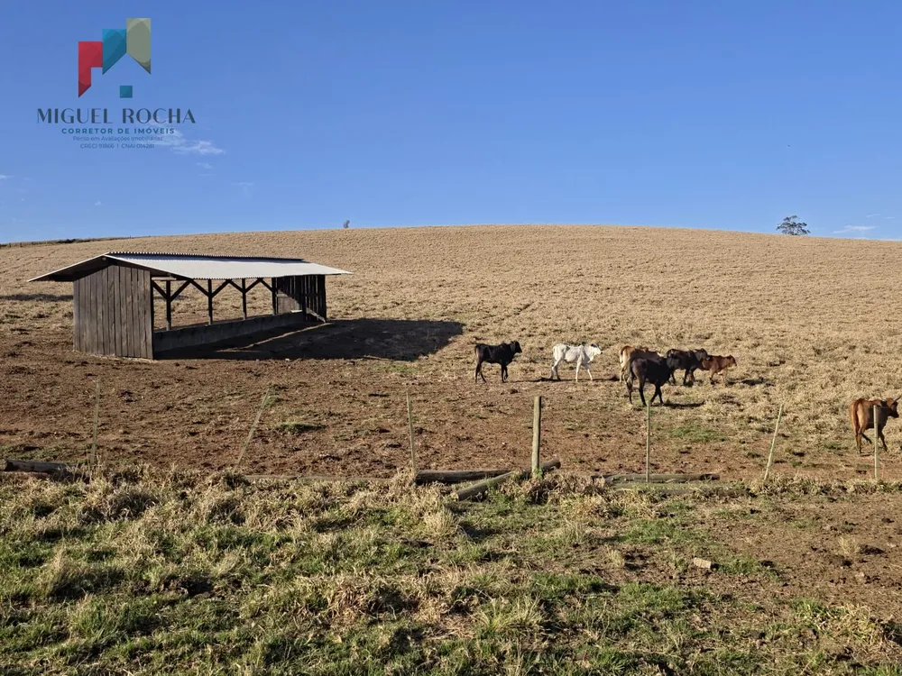 Fazenda - Foto 7