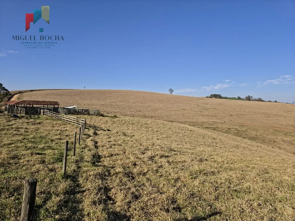 Fazenda - Foto 15