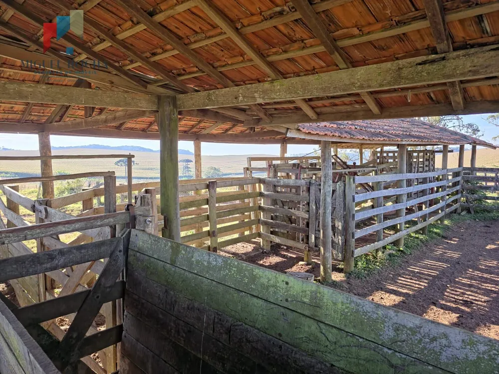 Fazenda - Foto 3