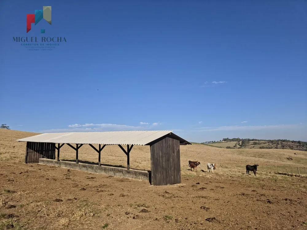Fazenda - Foto 8