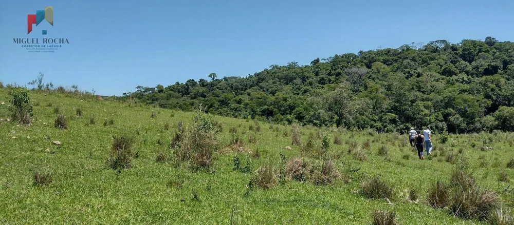 Sítio, 9 hectares - Foto 3