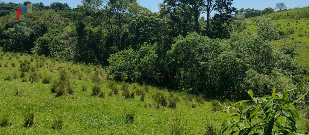 Sítio, 9 hectares - Foto 6