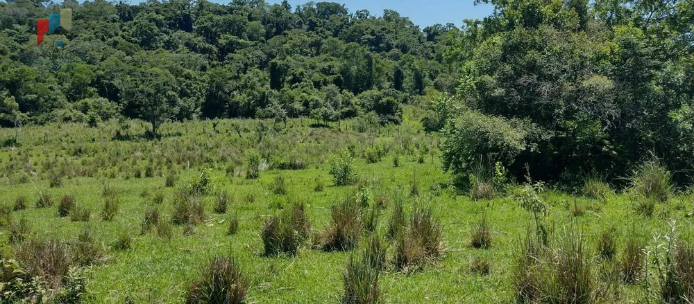 Sítio, 9 hectares - Foto 9