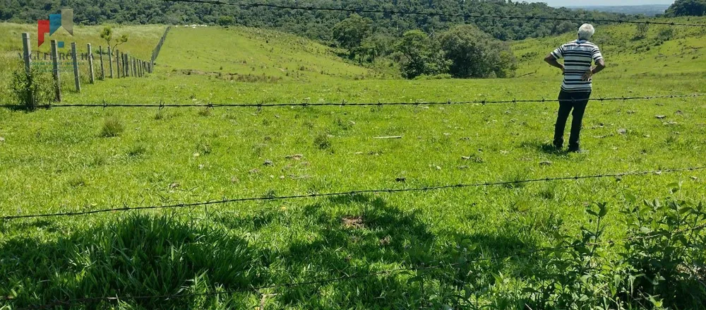 Sítio, 9 hectares - Foto 8