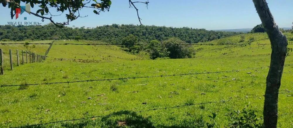 Sítio, 9 hectares - Foto 10