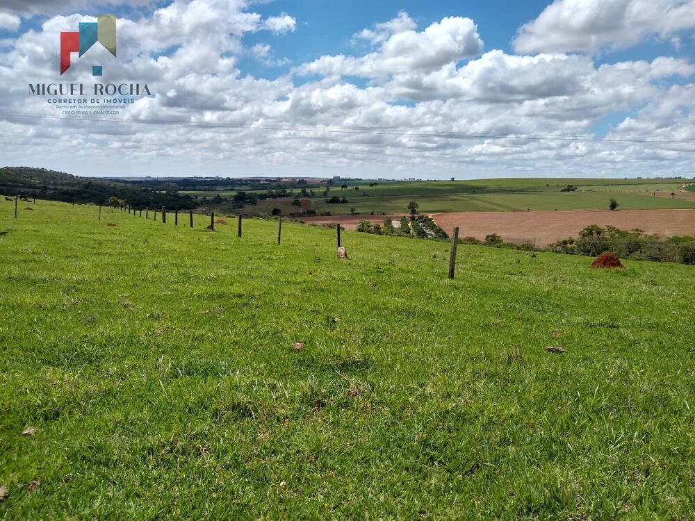 Sítio, 4 quartos, 96 hectares - Foto 3