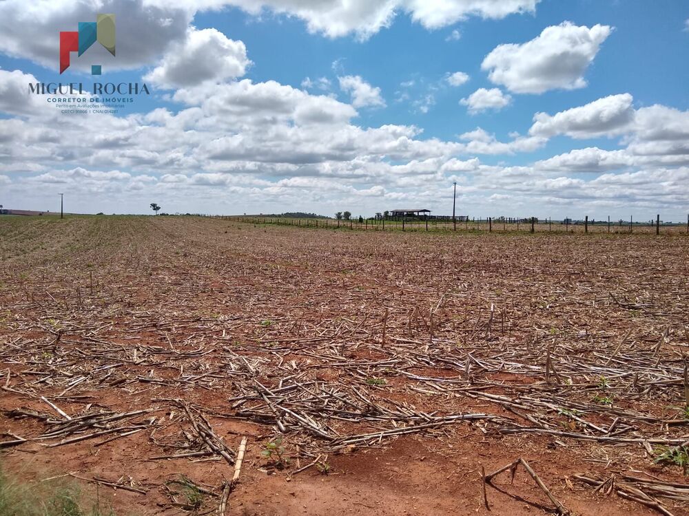 Sítio, 4 quartos, 96 hectares - Foto 2