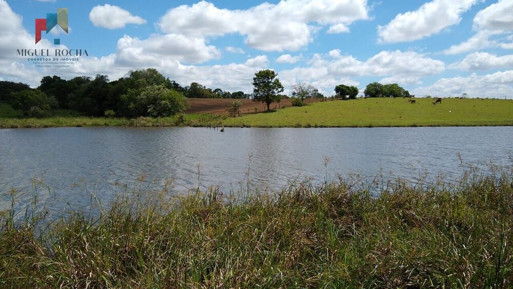 Sítio, 4 quartos, 96 hectares - Foto 1