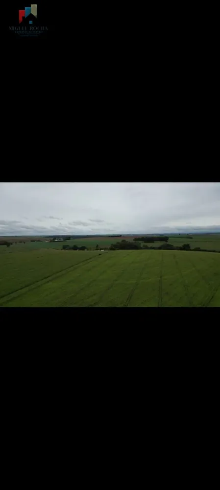 Fazenda, 310 hectares - Foto 2