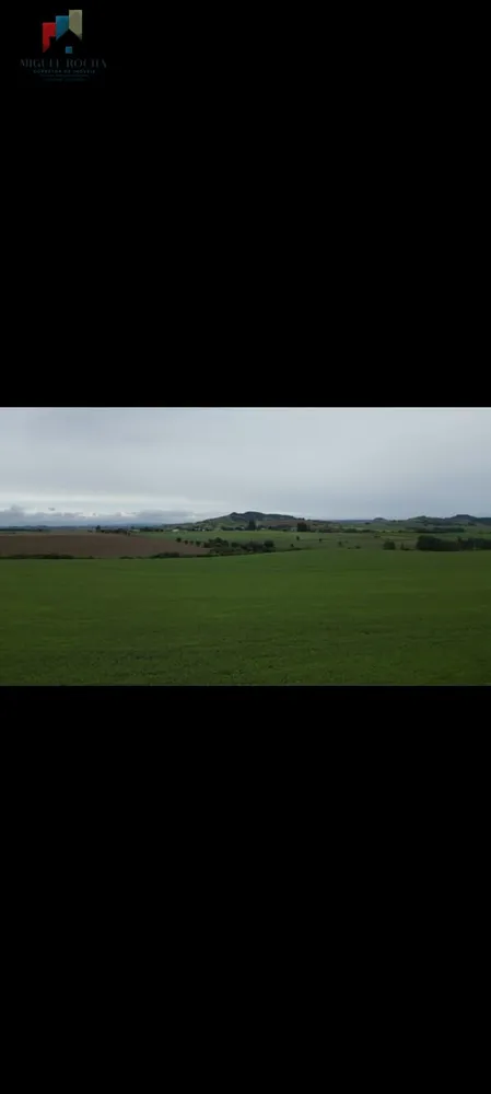 Fazenda, 310 hectares - Foto 3