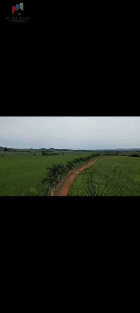 Fazenda, 310 hectares - Foto 1