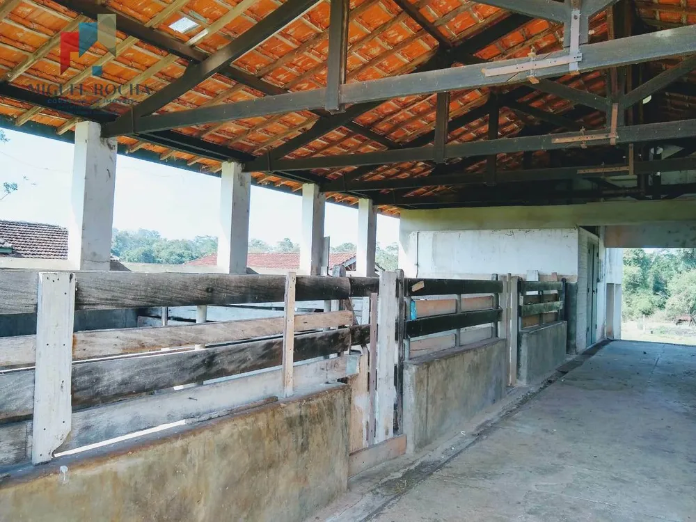 Sítio, 4 quartos, 34 hectares - Foto 11