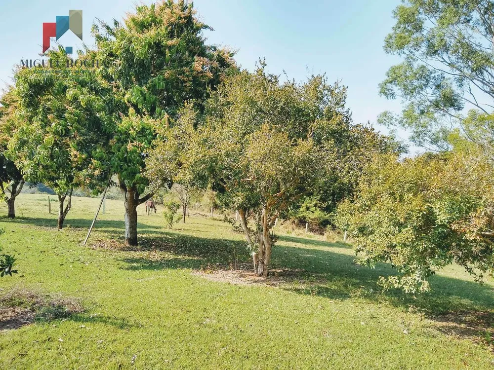 Sítio, 4 quartos, 34 hectares - Foto 12