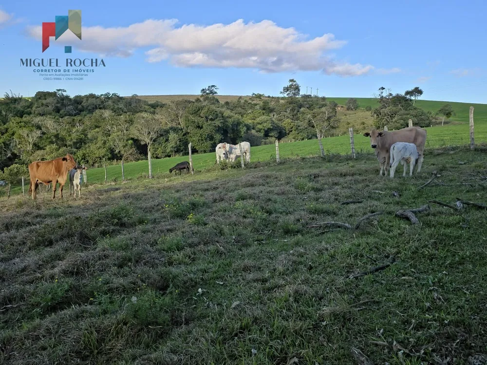 Fazenda, 2 quartos - Foto 7