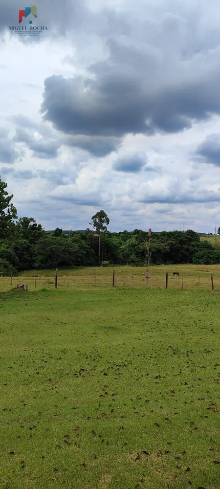 Sítio, 3 quartos, 22 hectares - Foto 14
