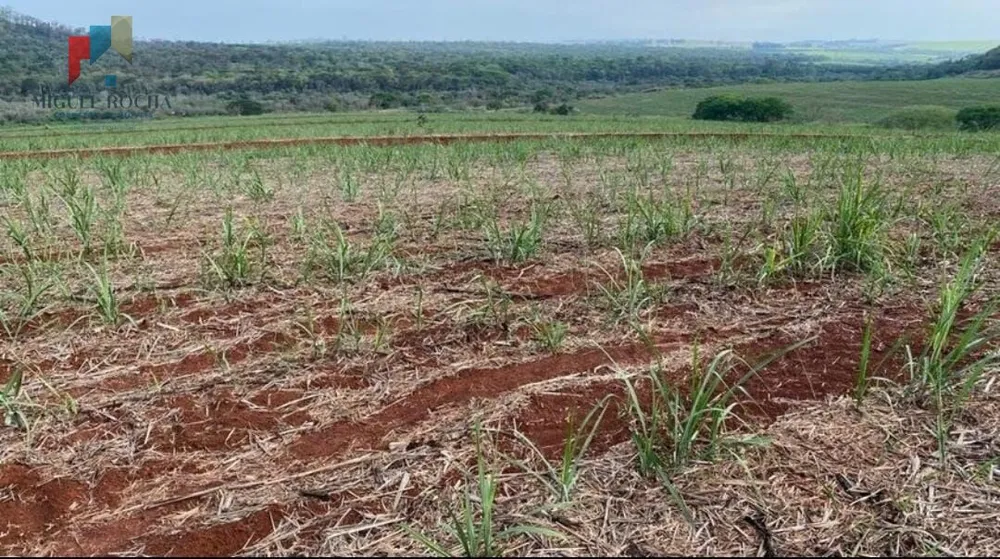 Fazenda, 162 hectares - Foto 2