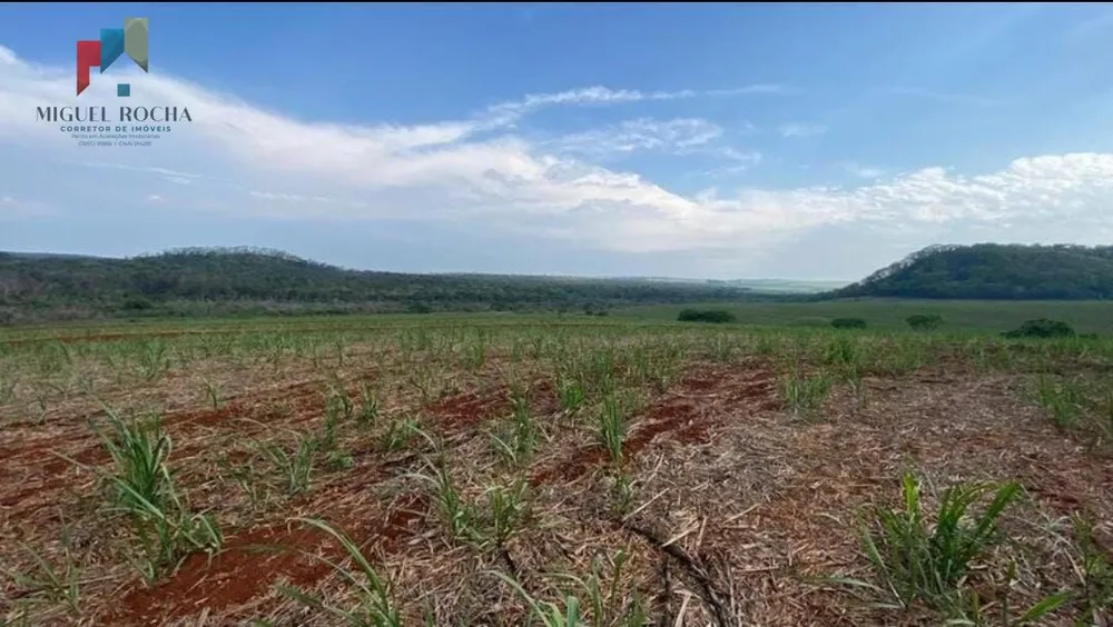 Fazenda, 162 hectares - Foto 3