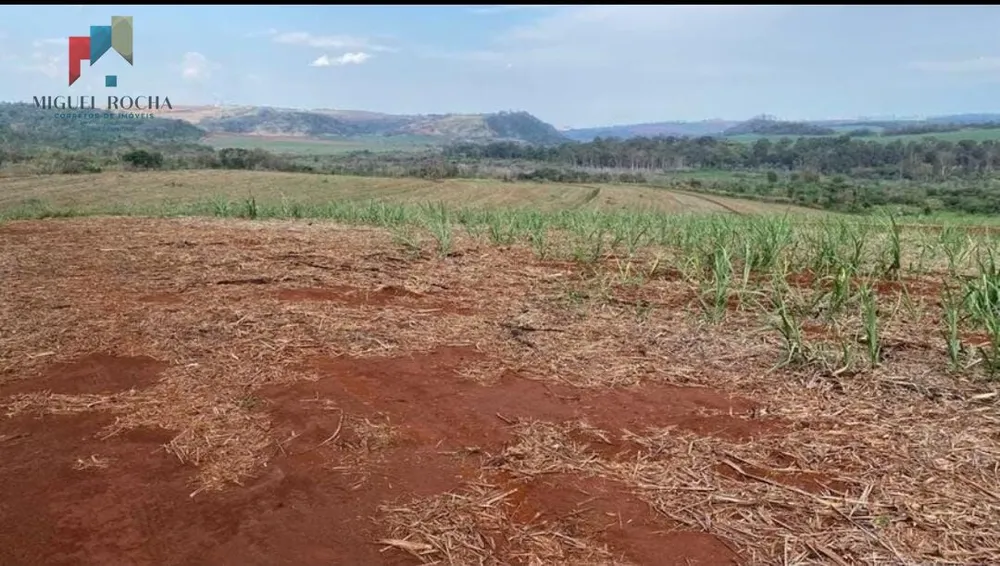 Fazenda, 162 hectares - Foto 1