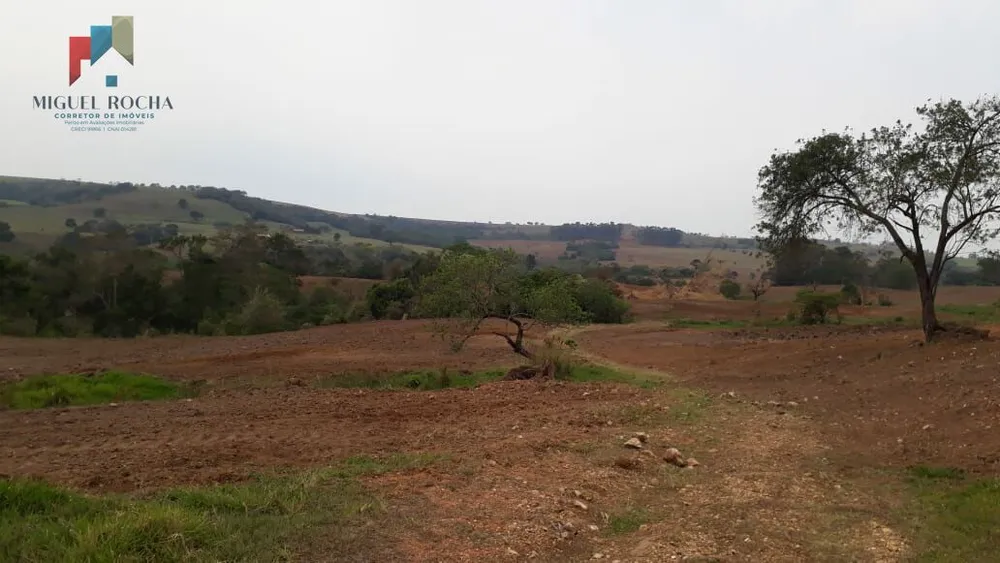Sítio, 3 quartos, 101 hectares - Foto 1