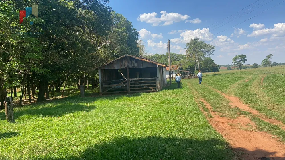 Fazenda, 491 hectares - Foto 7