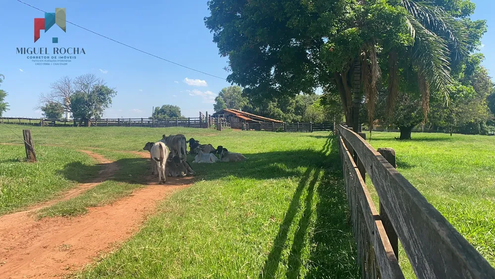 Fazenda, 491 hectares - Foto 4