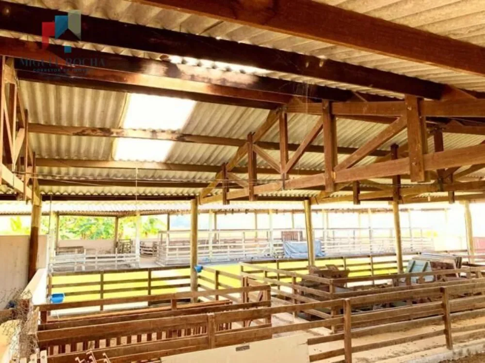 Sítio, 2 quartos, 56 hectares - Foto 6