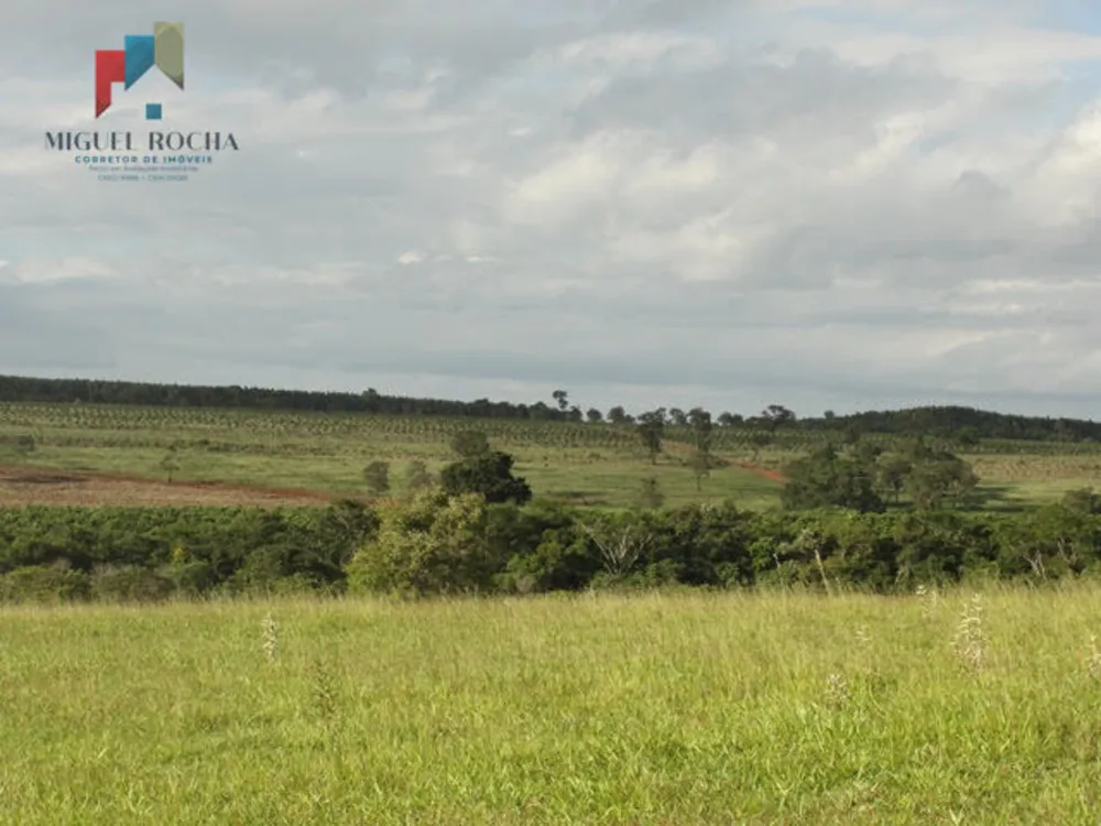 Fazenda, 411 hectares - Foto 6