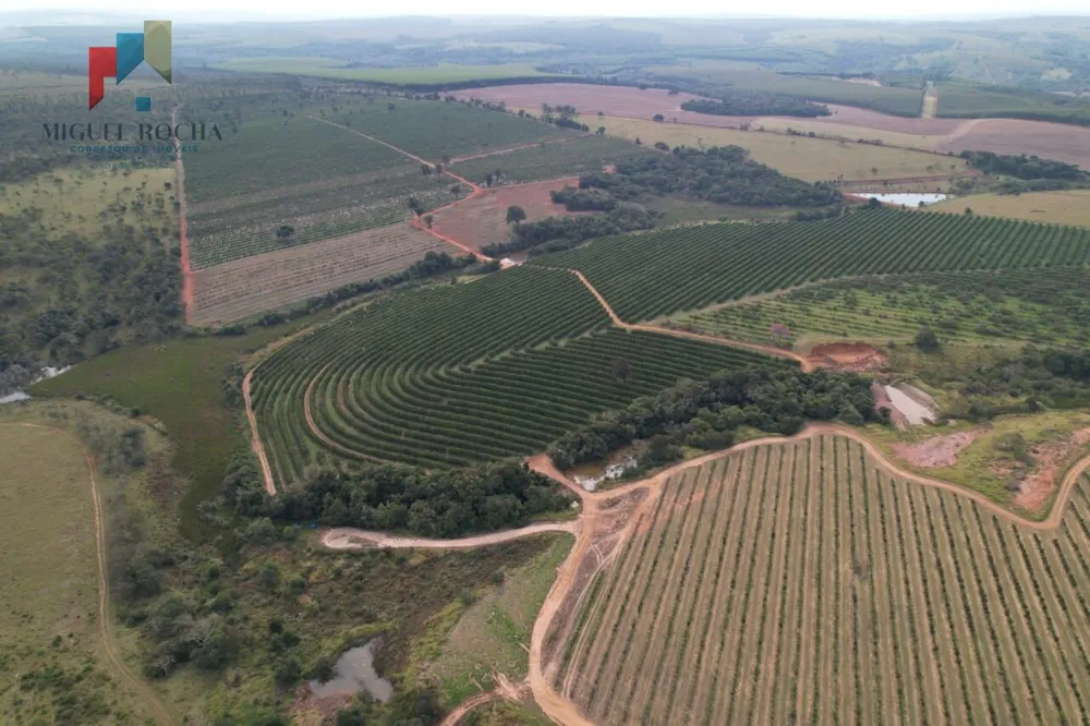 Fazenda, 411 hectares - Foto 4
