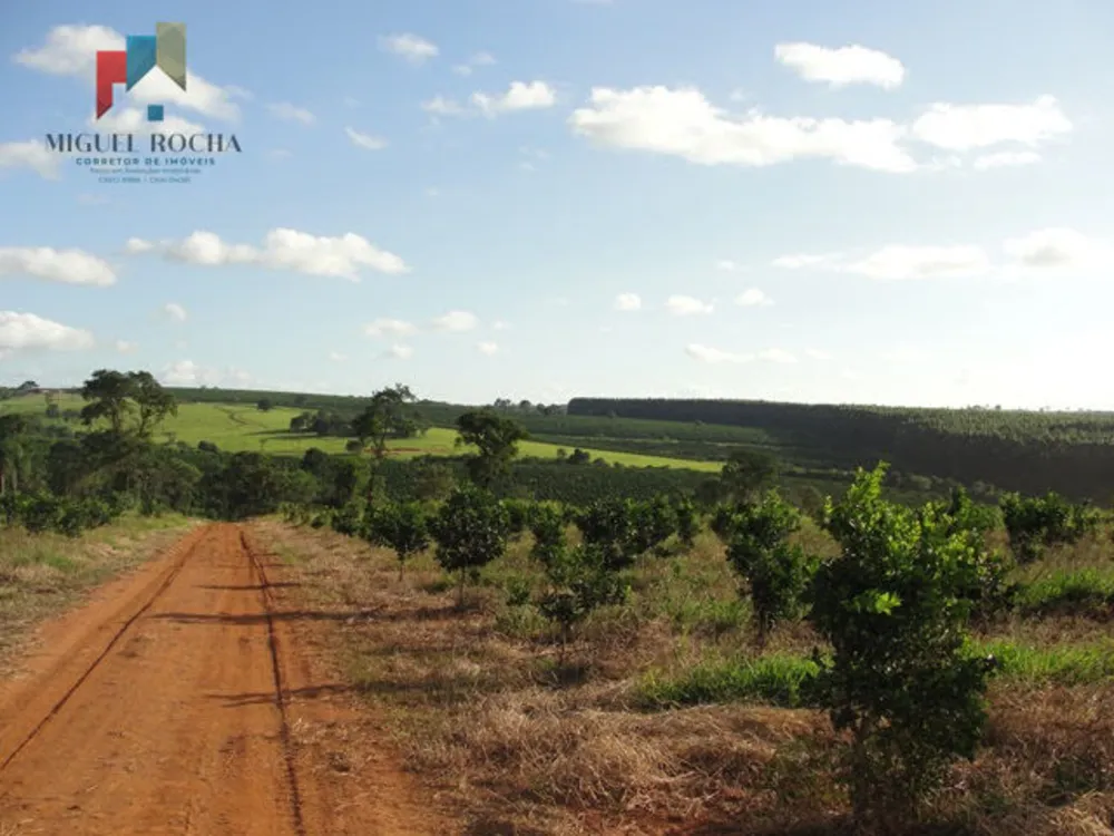 Fazenda, 411 hectares - Foto 2
