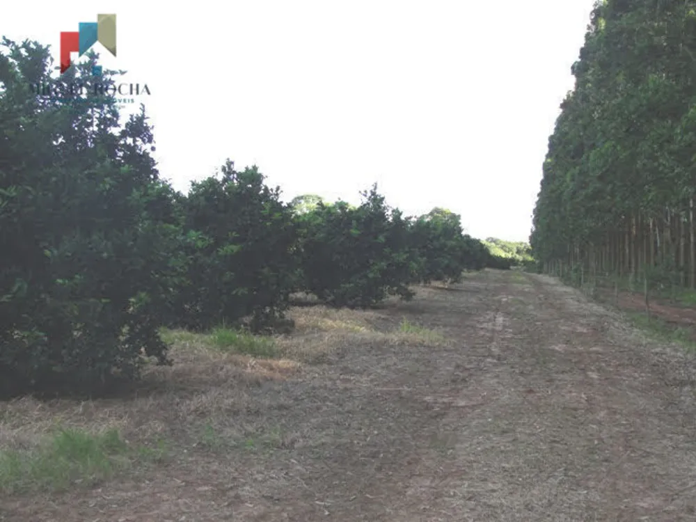 Fazenda, 411 hectares - Foto 1
