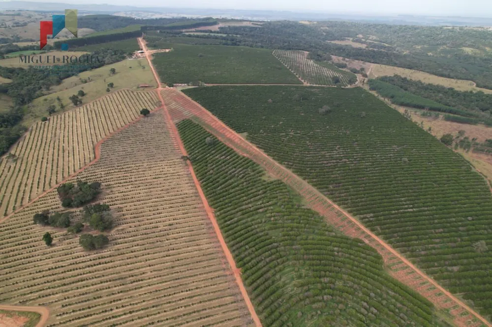 Fazenda, 411 hectares - Foto 3
